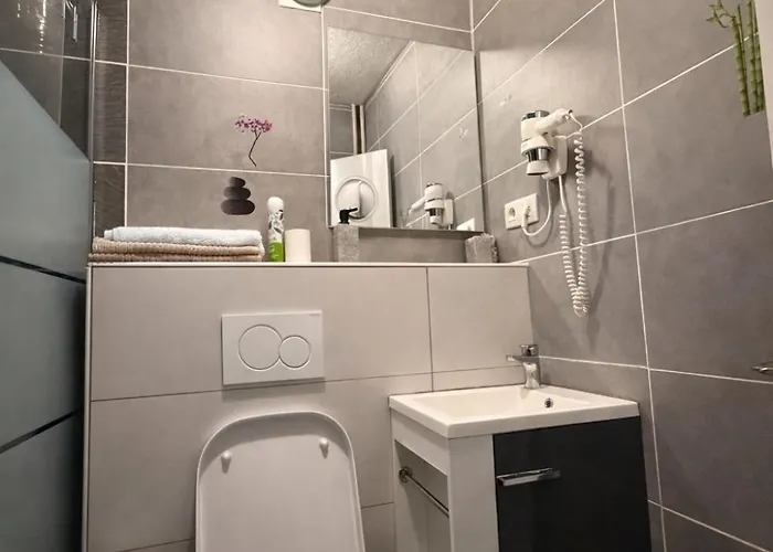 Moderne, Saint-louis Proche Bale, Hyper-centre, Parking Gratuit